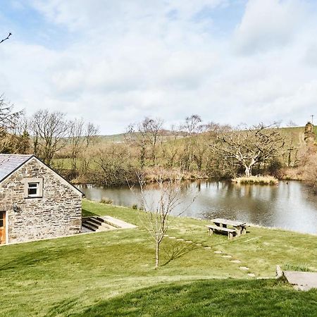 Penuwch Boathouse- Lakeside Rural Cottage Ideal For Families With Indoor Heated Pool Carmarthen Exterior photo